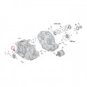 S&S, igiełkowe łożysko wałka rozrządu. Wewnętrzne 06-17(NU) Dyna 07-17(NU) Twin Cam Softail (z wyjątkiem 110" Twin Cam ja