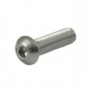 Śruba z łbem guzikowym M8 x 20 mm, ze stali nierdzewnej.