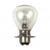 Żarówka reflektora Springer 6V 35W 36-54 typ reflektora Springer
