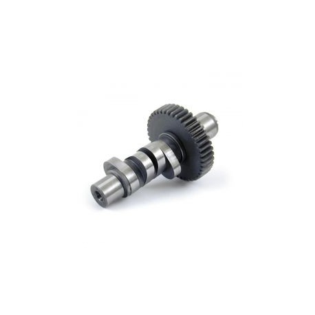 S&S, krzywka 508 dla Evo Big Twin